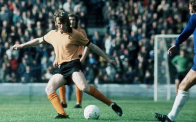 When Waggy Ruled The Wolves World